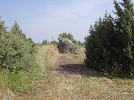 האנדרטה באיזור המטעים של קיבוץ רמת מגשימים